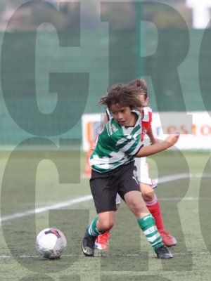IMG_10173 copy.jpg