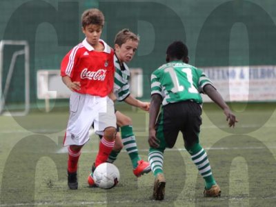 IMG_9741 copy.jpg