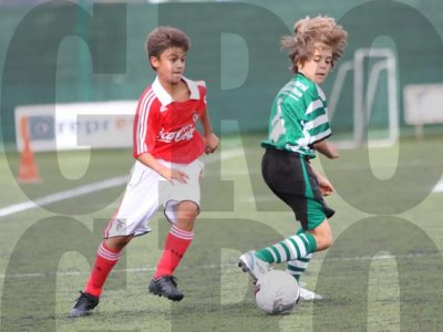 IMG_9913 copy.jpg