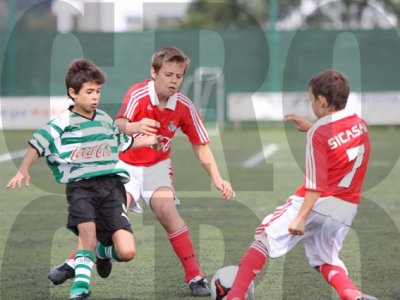 IMG_9971 copy.jpg