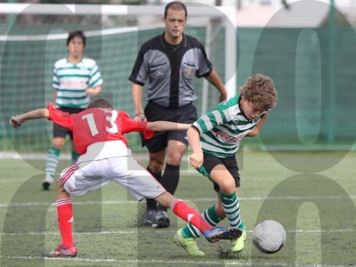 IMG_9973 copy.jpg