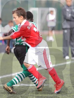 IMG_9987 copy.jpg