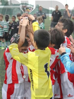 IMG_0913 copy.jpg
