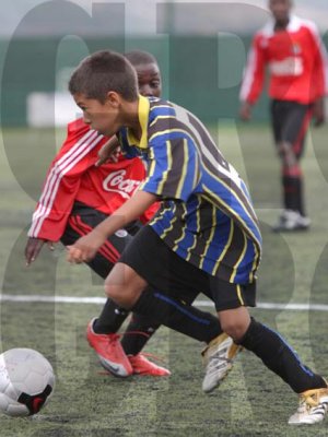 IMG_1305 copy.jpg