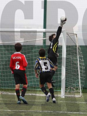 IMG_1348 copy.jpg