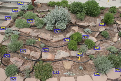 E Artemisia Garden - Labeled 8812.JPG