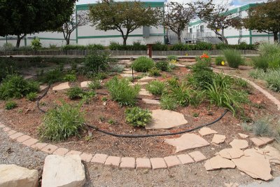 Oasis Garden (0602)