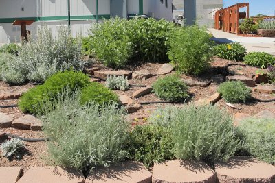 Artemisia Garden Center (4827)