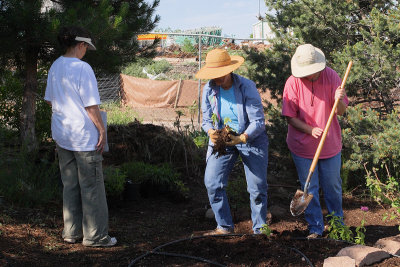 Planting the New Herb Garden (2420)