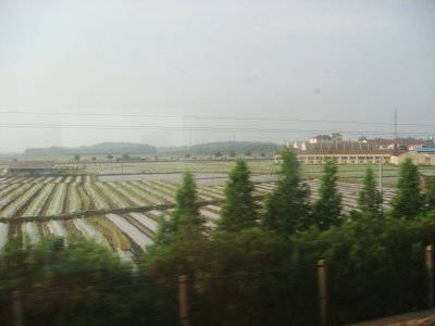 Countryside on the way into Shanghai