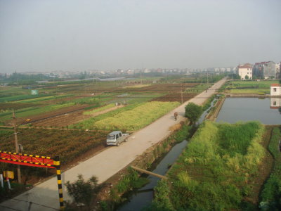 Countryside on the way into Shanghai