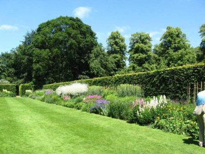 herbaceous garden - beautiful colours