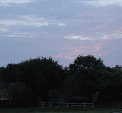 Sunrise from my backyard.jpg