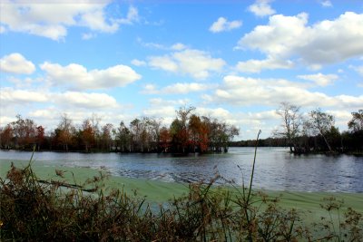 Winter-at-BBSP-nov-28-2010.jpg