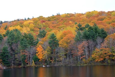 Hunter Mountain New Jersey 2010 Foliage.jpg