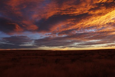 Sunrise-at-Chihuahuan-Dese1