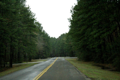 East-Texas-Pineywoods.jpg