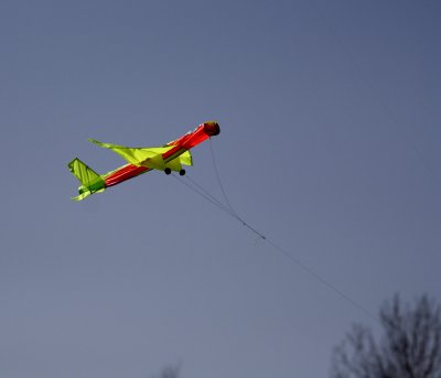 Kite-5.jpg