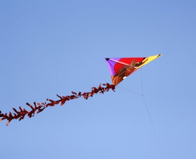 Kite-6.jpg