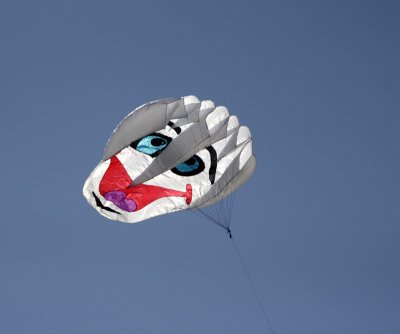 Kite-7.jpg