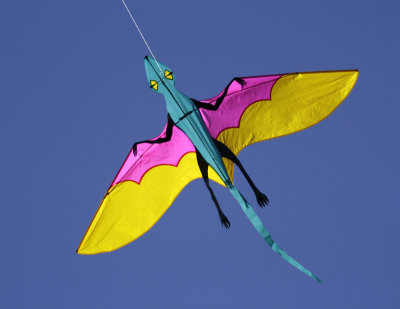 Kite-1.jpg
