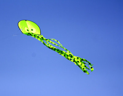 Kite-3.jpg