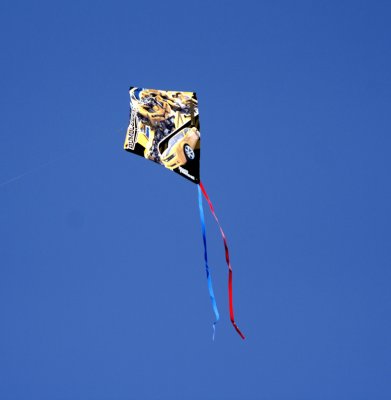 Kite-1.jpg