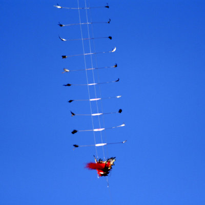 Kite3.jpg