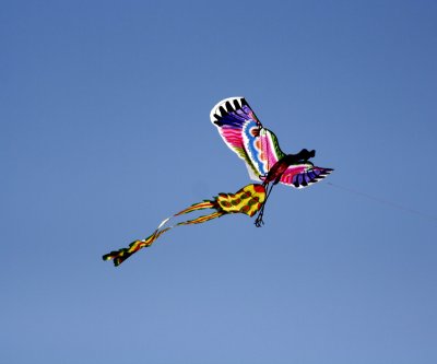 Kite-4.jpg