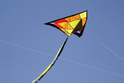 Kite-8.jpg
