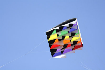 Kite-5.jpg