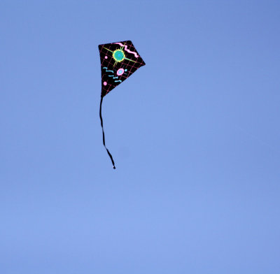 kite-4.jpg