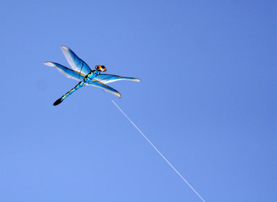 kite-3.jpg