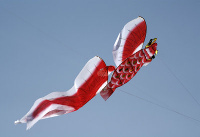 kite_festival