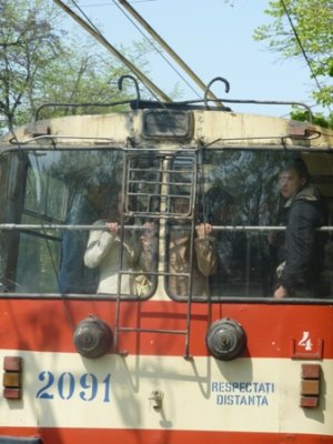 Red tram-bus