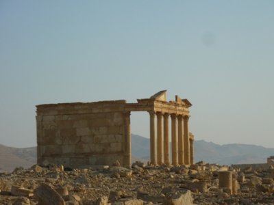 Palmyra beautiful sunrise