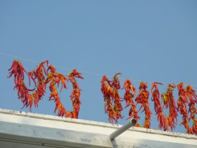 Piments on the sky