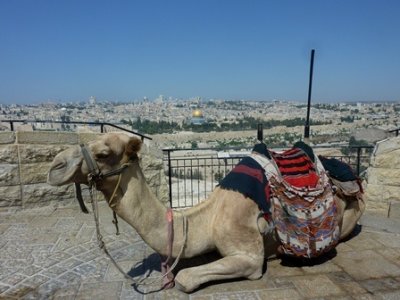 Drives touristiques
