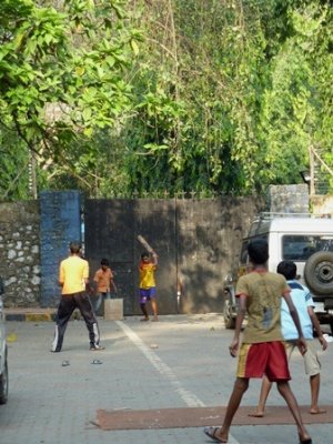 Street cricket
