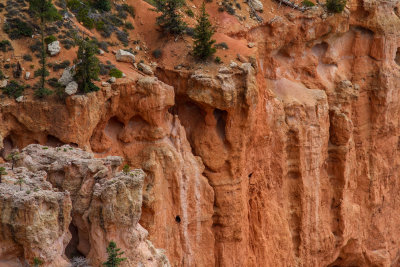 Bryce Canyon NP