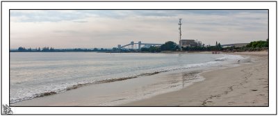 Koombana Bay Where the Dolphins come to play daily.