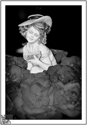 Lady In The Roses Mono.