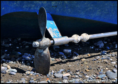 beached_sailboat06_9765.jpg