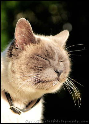Ahhh..  The milk was good, and the sun feels good.