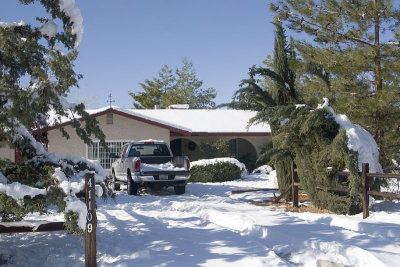 The day after the storm