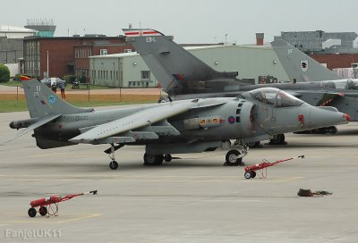 Tribute to the Harrier