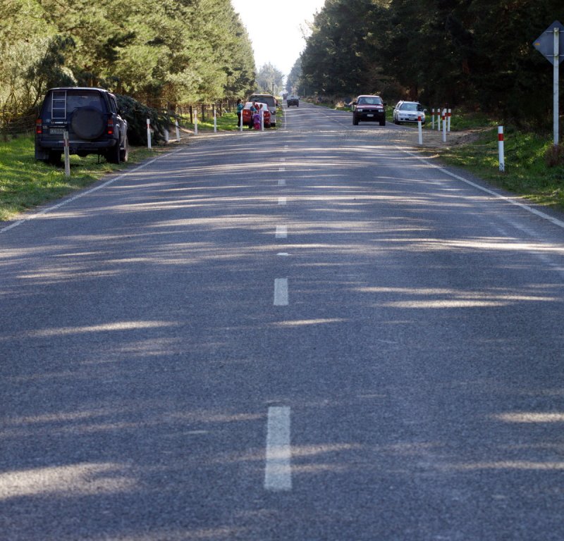 After The Earthquake - Telegraph Road