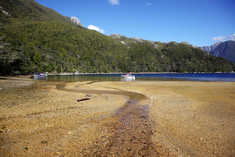 Deas Cove at low tide