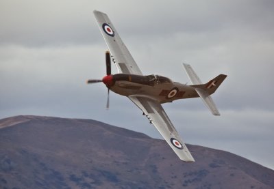 Mustang at Warbirds