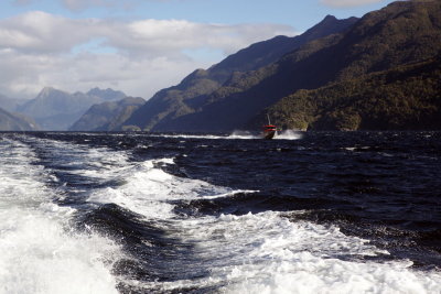 Acheron Passage, Breaksea Sound, Fiordland